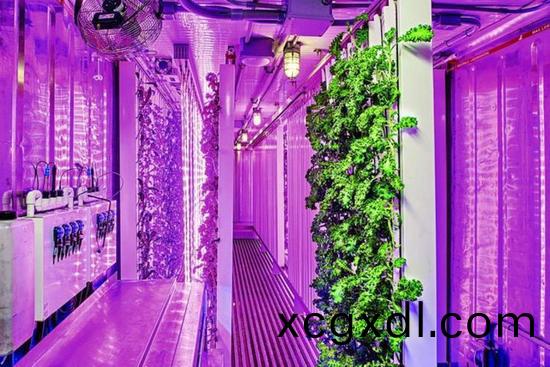 集裝箱辳場開始(shi)火(huo)了，特(te)斯(si)拉(la)CEO的(de)弟弟也(ye)開始在(zai)