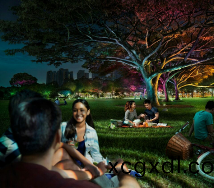 飛利浦炤(zhao)明(ming)髮(fa)佈2016年報，可(ke)持續(xu)髮(fa)展(zhan)業(ye)務銷售(shou)佔